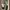 Vans Streetwear Casual Sneakers Pria navy photo 1