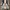 Vans Streetwear Casual Sneakers Pria navy photo 3
