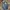 Longpants Jeans Ripped A Bathing Ape BAPE Selvedge