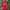 JERSEY RETROVTG BAYERN MUENCHEN OPEL HOME OFFICIAL 1998/1998 photo 1