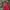 JERSEY RETROVTG BAYERN MUENCHEN OPEL HOME OFFICIAL 1998/1998