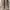 Tommy Hilfiger Casual Sneakers Pria brown photo 2