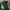Vintage 90s Jersey Green bay peckers photo 5