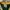 Vintage 90s Jersey Green bay peckers photo 6