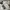 Jersey NFL Philadelphia eagles photo 3