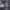 Hoodie Death Row Record CR 2022 photo 4