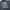 Hoodie Death Row Record CR 2022