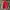 Jacket Outdoor Columbia Omni Shield Red Grey photo 1