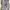Casual Boots Pria gray photo 6