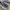 Salomon XT Gore Tex photo 2