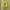 Salomon XT Gore Tex photo 6