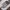 The North Face Streetwear Casual Bag Pria White