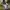 The North Face Streetwear Casual Bag Pria white photo 4
