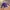 Purple Crewneck Sweater