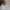 Y2k depopy2k gothic goth punk emo cop copine skull graphic photo 7