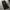Black unknown baggy jeans photo 1
