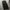 Black unknown baggy jeans photo 2