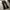 Vintage reach bondage flared pants photo 1