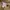 Dickies Canvas Workwear Carpenter  photo 4