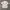 Sweden Melka Shirt photo 5