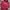 Hoodie Fila photo 1