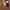 Shein Reworked Wide leg jeans Wanita multicolor photo 6