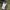 Montbell Sportswear Tracksuit Pria green photo 5