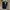 Trackpants Adidas Europe Black Modern Tag photo 1
