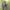 Vintage Pea Coat Wanita Multicolor