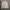 Dadge Collection Casual Flight Jacket