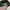 Vintage hat pria green photo 5