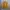 Saddler Casual Flight Jacket photo 1