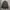 Original Casual Mens Wear Jacket photo 2