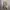 Authentic by Renown Suede Casual Flight Jacket photo 5