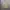 Authentic by Renown Suede Casual Flight Jacket photo 2