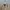 Authentic by Renown Suede Casual Flight Jacket photo 3