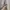 Authentic by Renown Suede Casual Flight Jacket photo 6
