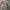 Authentic by Renown Suede Casual Flight Jacket photo 7