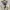 Authentic by Renown Suede Casual Flight Jacket photo 4