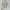 mori babydoll blouse pita ruffle. kawai fairy cottage photo 1