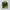 One set choco avocado. fairy forest. casual.  photo 1
