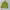 One set choco avocado. fairy forest. casual.  photo 7