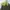 One set choco avocado. fairy forest. casual.  photo 3