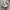 NEWBALANCE ELITE V4 photo 1