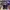 AIR JORDAN 1 RETRO HIGH OG COURT PURPLE photo 4