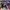 AIR JORDAN 1 RETRO HIGH OG COURT PURPLE photo 3