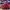 AIR JORDAN RETRO 13 SNGL DY SINGLE DAY SHOES photo 1