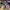VALENTINO GARAVANI ROCKRUNNER LOVE SNEAKERS photo 4