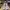VALENTINO GARAVANI ROCKRUNNER LOVE SNEAKERS photo 2