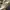 VALENTINO GARAVANI ROCKRUNNER LOVE SNEAKERS photo 6